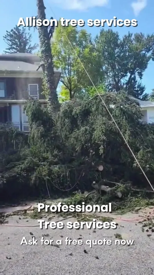 Fotograma del anuncio de Allison Tree Services