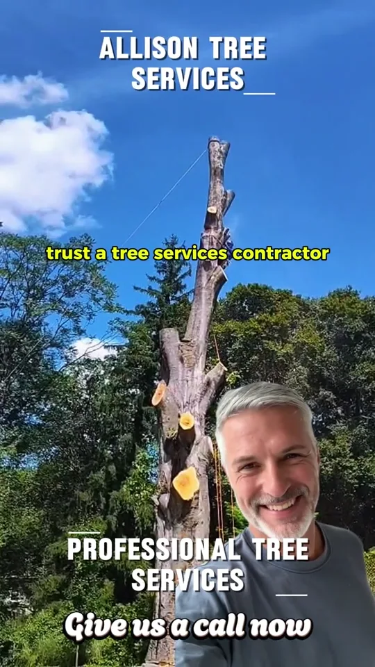 Fotograma del anuncio de Allison Tree Services