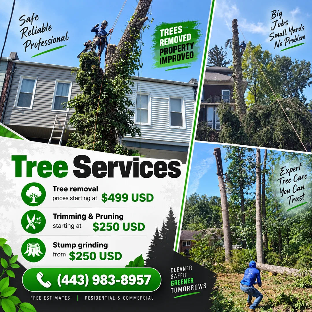 Allison Tree Services · Tree Services
