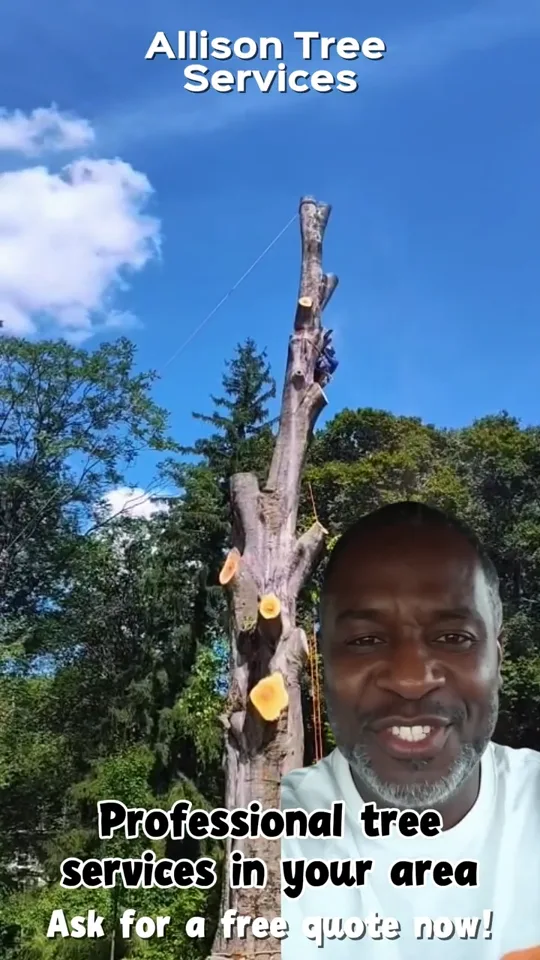 Fotograma del anuncio de Allison Tree Services
